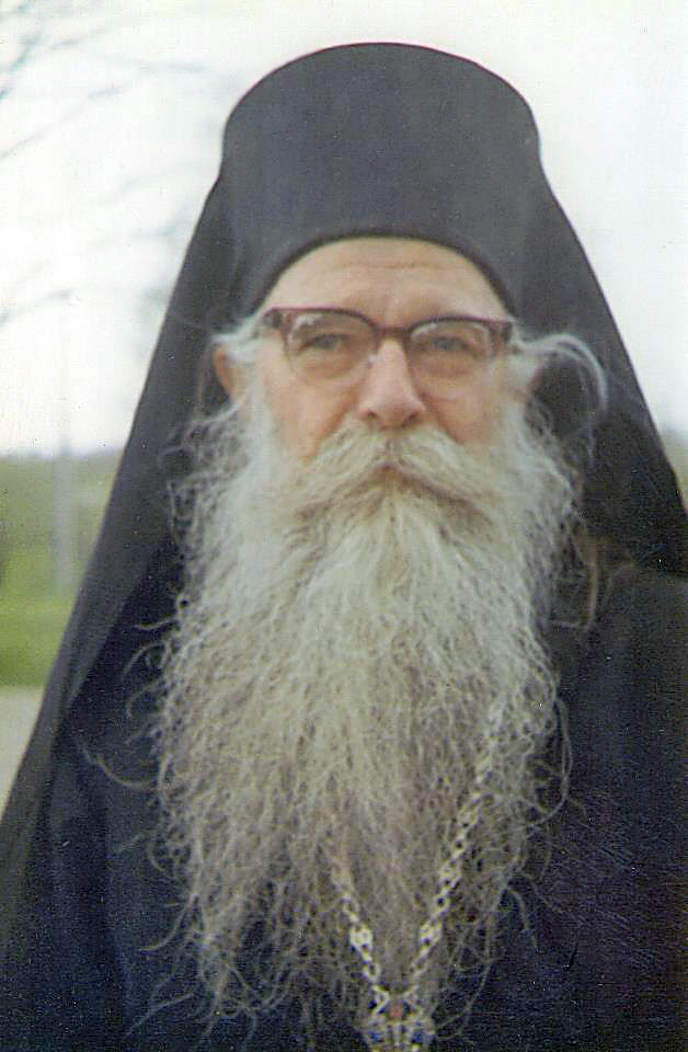 sava saracevic