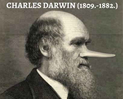 darvin