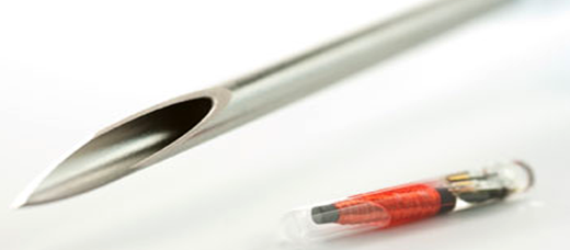rfid-implant