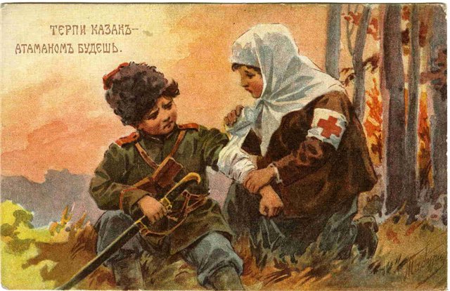 kozaci d