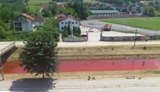 gornji-milanovac02-pocrvenela-despotovicam