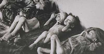decajasenovac