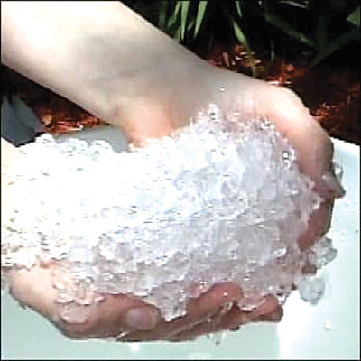pelene-absorbent-gel-in-disposable-diapers
