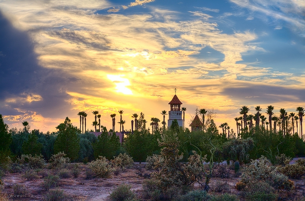 arizona3