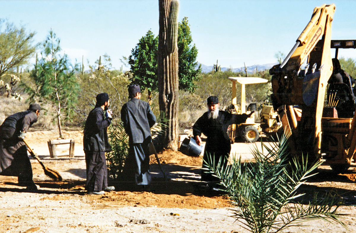 arizona6
