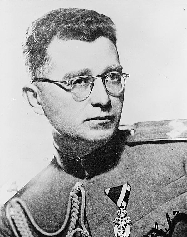 DragoljubMihailovic